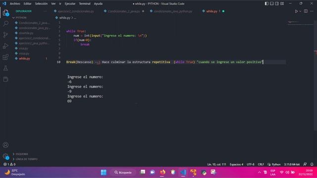 Estructura repetitiva do while || while True en Python. Validación de datos смотреть онлайн