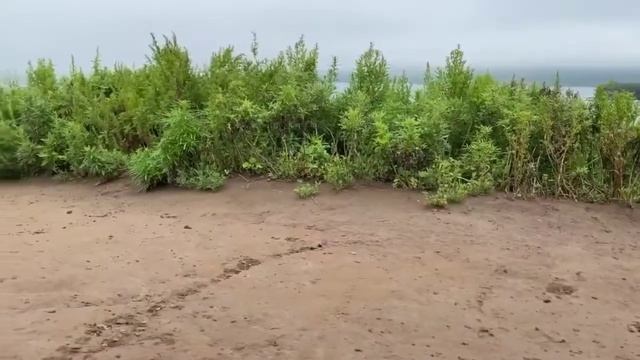 Маяк на острове Русском/Пробежка по мысу Тобизина смотреть онлайн