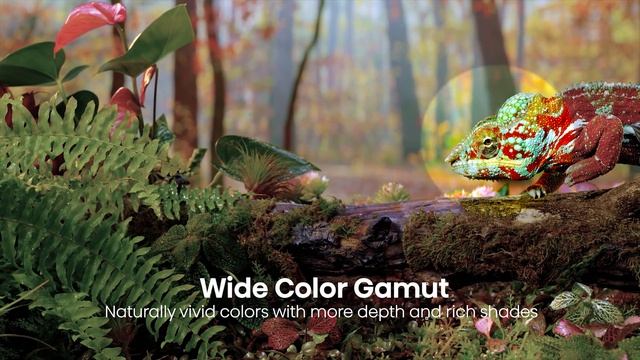 Toshiba TV M550 Series (Premium 4K AndroidTV)