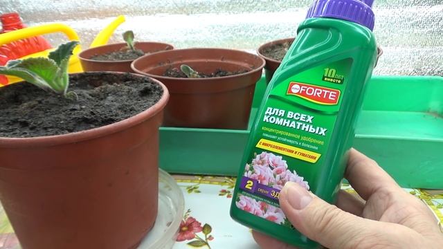 ПЕРВАЯ ПОДКОРМКА СЕЯНЦЕВ смотреть онлайн