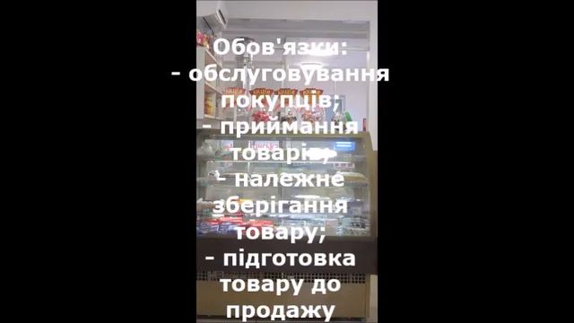 ФО-П Швачка Н.І. потрібен продавець продовольчих товарів (відеопрезентація вакансії). смотреть онлайн