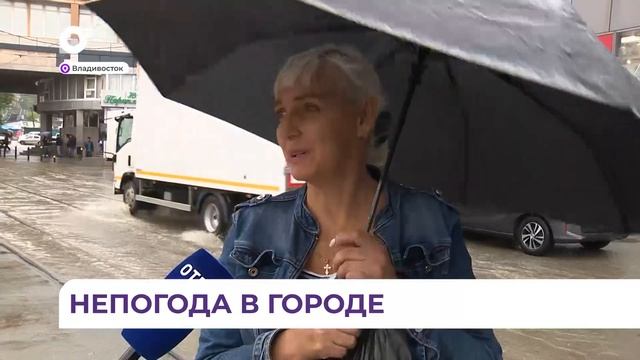 Городские службы устраняют последствия непогоды в Приморье смотреть онлайн