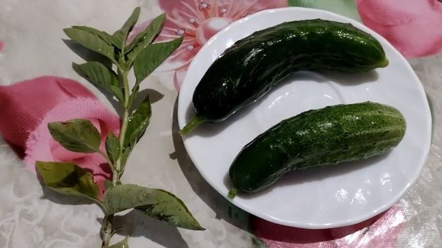 Vlog 27 07 2022 День рождения мужа 39 лет/Домашний лимонад/Молочный коктейль