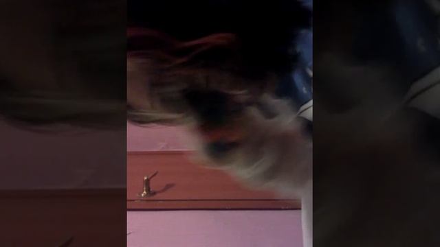 Очарование Волос