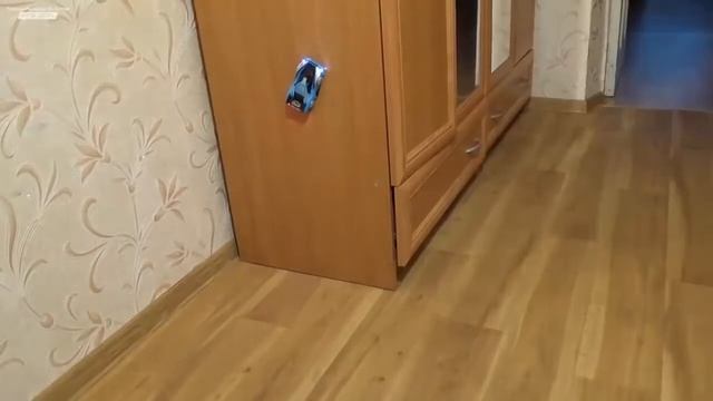 Машинка ездит по потолку смотреть онлайн