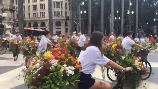 В Сан-Паулу, Бразилия Парад на велосипедах смотреть онлайн