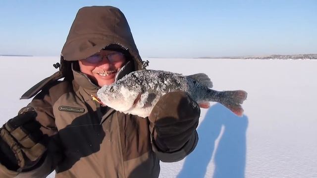 Рыбалка в -26 с электробуром ЭБА 20. Окунь на балансир. смотреть онлайн
