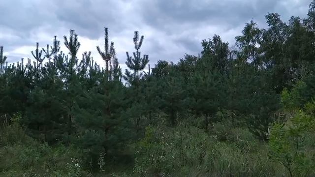 10 сентября.АННА ПРОРОЧИЦА.Заступница одиноких.ТРИ важных ЗАПРЕТА дня.Приметы смотреть онлайн