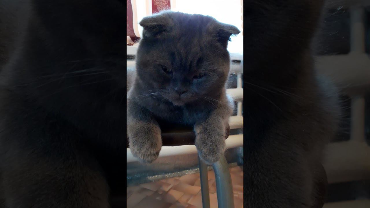 без настроения.... смотреть онлайн