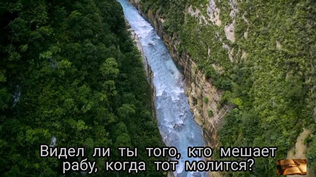 Сура 96. Аль - Аляк (Сгусток крови). Омар Хишам аль Араби. смотреть онлайн