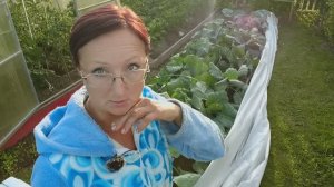 Видео привет с 6 соток 19 июня 2023 года 2 часть