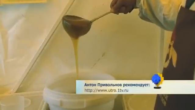 как правильно выбрать настоящий мёд смотреть онлайн