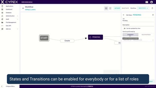 3.4.1 CYPEX Database Section - Workflow Overview | CYBERTEC PostgreSQL Rapid App Dev смотреть онлайн