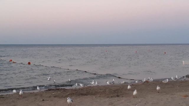 Чакры черные и белые. Понимание процесса наладит жизнь. Часть 1 смотреть онлайн