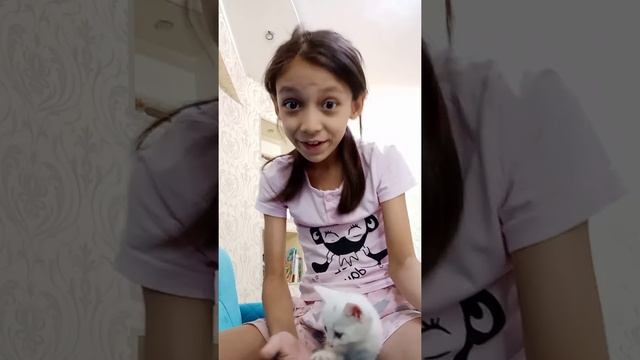 2 лайфхак как отучить котёнка кусаться смотреть онлайн