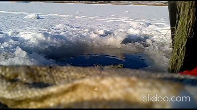 Рыбалка сетями зимой. Есть улов. смотреть онлайн