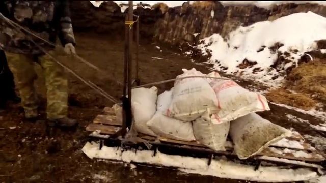 Прикормка, подкормка кабана зимой или как сохранить поголовье кабана зимой смотреть онлайн