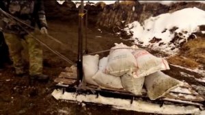 Прикормка, подкормка кабана зимой или как сохранить поголовье кабана зимой