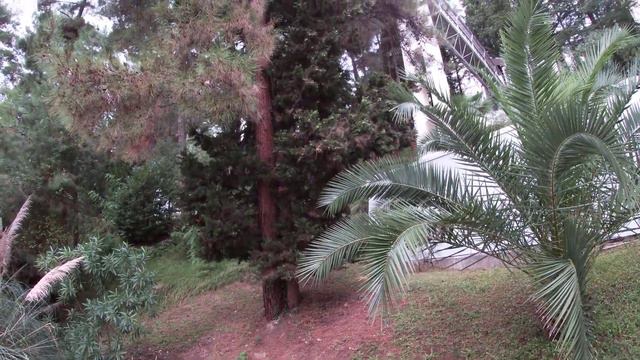 Сочи. БЫВШИЙ  Санаторий РЖД 