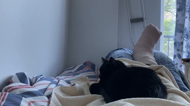 Перелом лодыжки смотреть онлайн