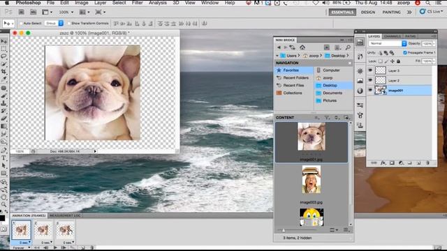 Tutorial Making Animated Gifs Using Photoshop CS5 смотреть онлайн