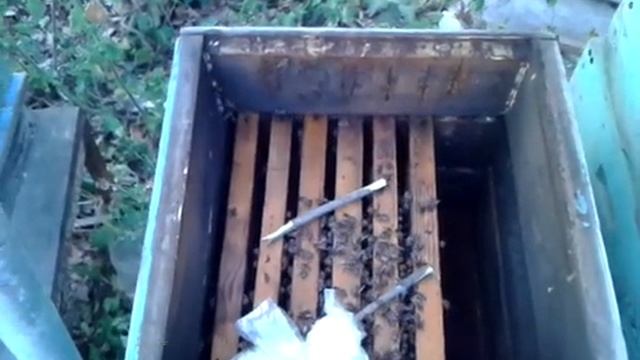 Изоляция матки в 5л бутыле для получения пакета с долгоживущими пчёлами. смотреть онлайн