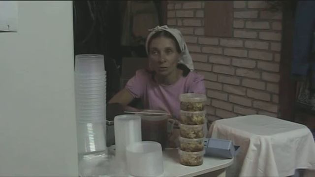 Сколько стоит мед в Чердынском р-н. Будет ли товарный мед в 2021 году. Ответ в видео. Пасека Пальок смотреть онлайн