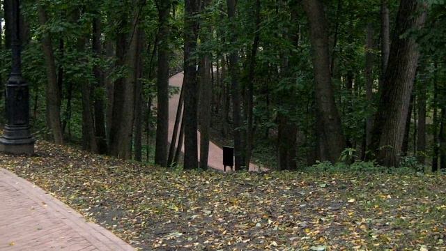 Царицыно Caricyno park photo by Andrey Zimin music by Kotaro Oshio смотреть онлайн