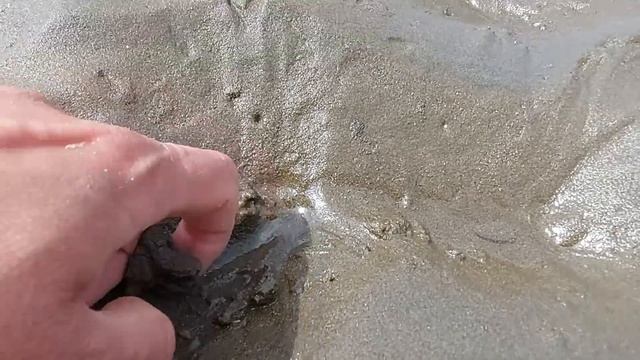 Накопаю на салат ракушку.. смотреть онлайн