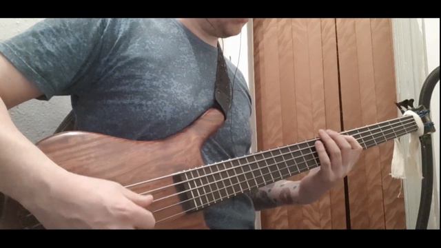 Warwick thumb nt bartolini original bass pickups смотреть онлайн