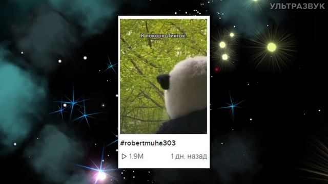 КТО ТАКОЙ - РОБЕРТ МУХА 303? ОТКУДА МЕМ? (robertmuha303) смотреть онлайн