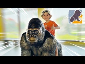 Дубай Сафари Парк 2022 - Эрик Шоу в ОТПУСКЕ