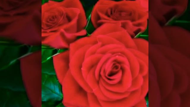 С 8 марта с праздником весны.Красивая муз. открытка. смотреть онлайн