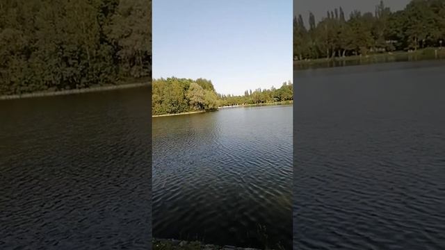 Москва измайловская парк мэтро. Шоссе Энтузиастов смотреть онлайн