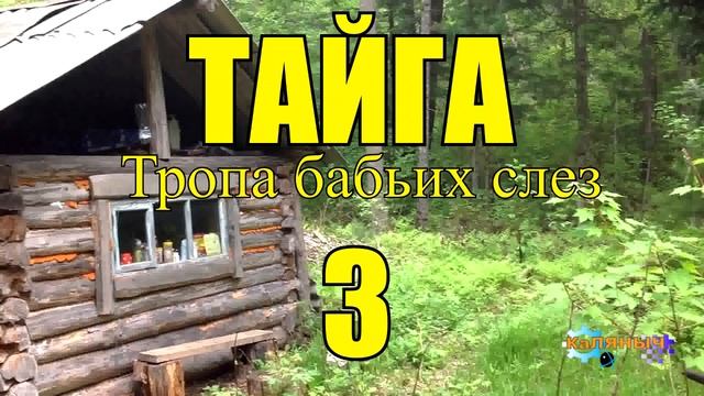 ОТШЕЛЬНИКИ | ЖИЗНЬ В ТАЙГЕ 3 из 16 смотреть онлайн