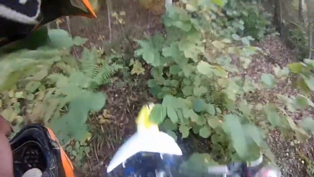 Тренировка с питбайком и триальным. Езда в подъем. смотреть онлайн