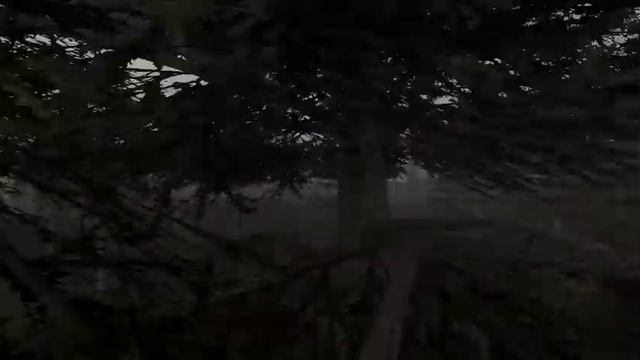 S.T.A.L.K.E.R. Anomaly КОРДОН смотреть онлайн