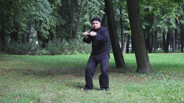 Толкающее усилие. Танец ударов кулаком с шагом назад. Стойка коленями внутрь. смотреть онлайн