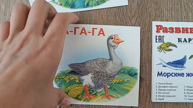Обзор развивающих карточек Меньшикова смотреть онлайн