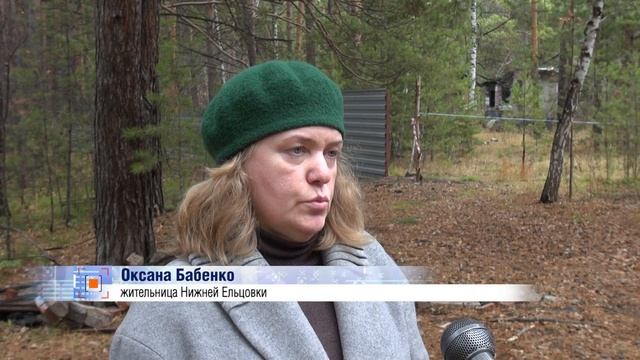 Жители Нижней Ельцовки продолжают бороться за сосновый бор // "Новости 49" 20.10.22 смотреть онлайн