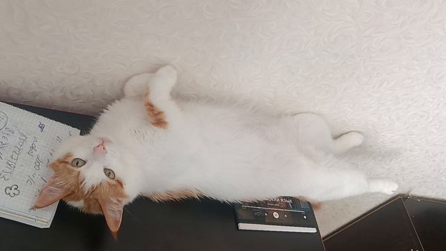 Кузя смотреть онлайн