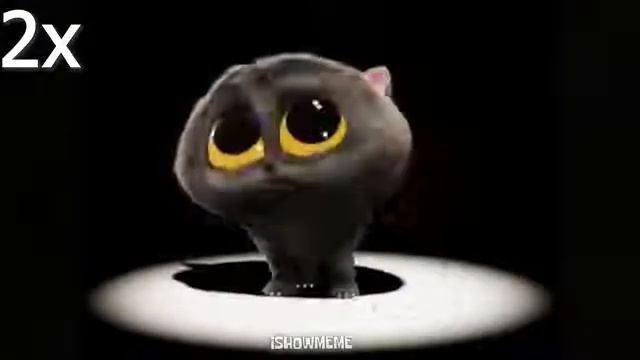 кот скэтмэн 999х скорость