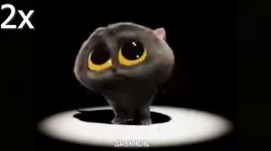 кот скэтмэн 999х скорость