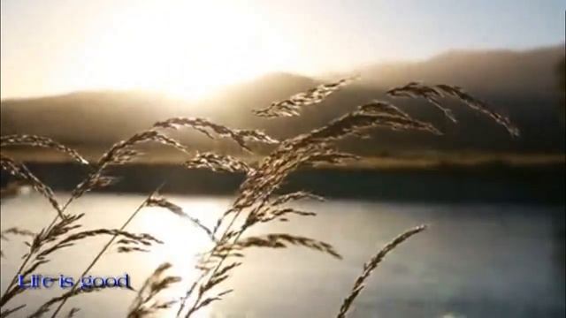 Вы должны это знать ! Волшебные шепотки на каждый день недели ! смотреть онлайн