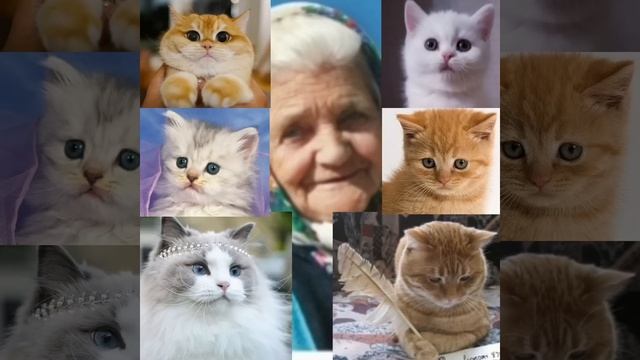 Часть5 из 6",ВАСЯТА";автор,исп.Александр Петриченко. смотреть онлайн