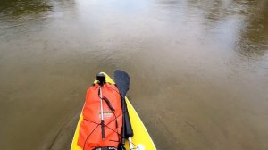 Сплав на сапе по реке Медведица,рай для саптуризма!