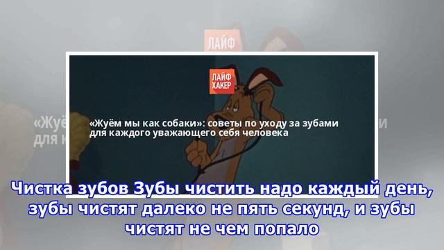 «Жуём мы как собаки»: советы по уходу за зубами для каждого уважающего себя человека смотреть онлайн