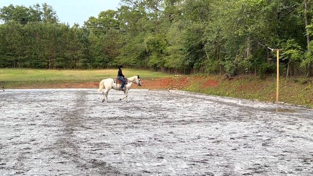 WDAA 2023 Online International Basic 1 AA Dayna Roberts/Wrangler смотреть онлайн