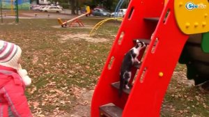 Котенок Барсик и Ярослава на ДЕТСКОЙ ПЛОЩАДКЕ. Выгуливаем Барсика - Играем. Видео для детей