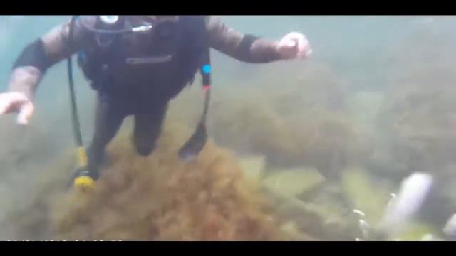 Крым-Судак-Дайвинг-2015 (Мыс "Меганом") смотреть онлайн